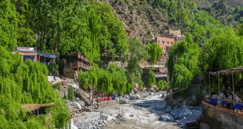 Ourika Valley with Atlas Mountains Day Trip from Marrakech | ®ExcursionMania - Image 8