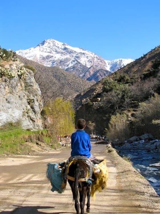 Marrakech: Atlas Mountains and Desert Jeep Safari with Lunch | ®ExcursionMania - Image 4