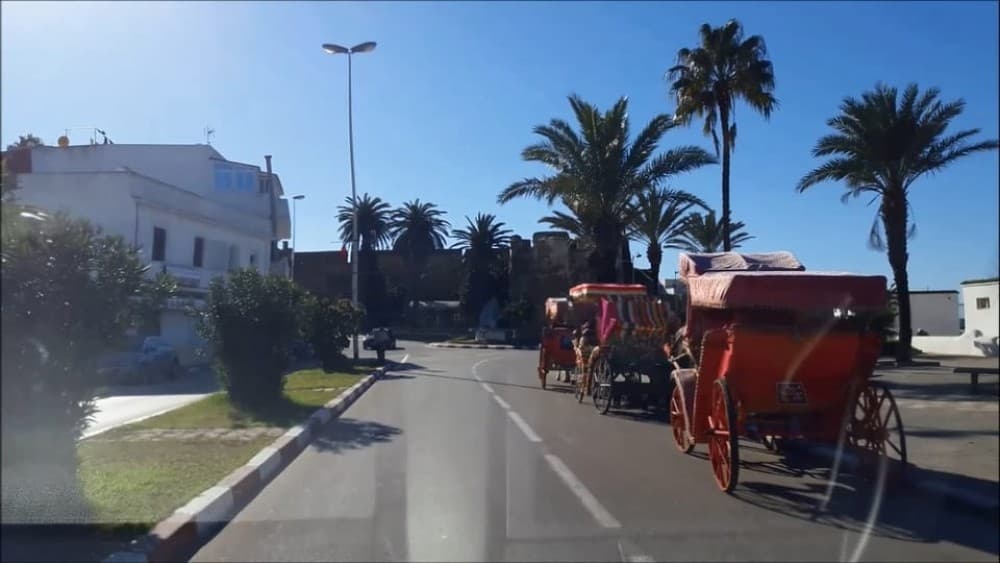 Asilah: Private Shore Excursion From Tangier | ®ExcursionMania - Image 7