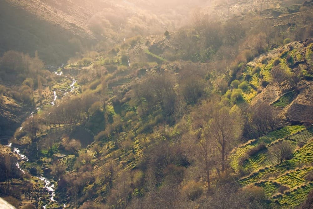 From Marrakesh: Atlas Mountains and Sahara Desert Car Tour | ®ExcursionMania - Image 5