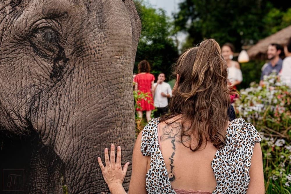 Kulen Elephant Forest & Tonlesap Lake Include boat /Transfer | ®ExcursionMania - Image 6