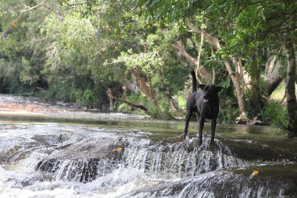 From Siem Reap: Phnom Kulen National Park Trekking Tour | ®ExcursionMania - Image 8