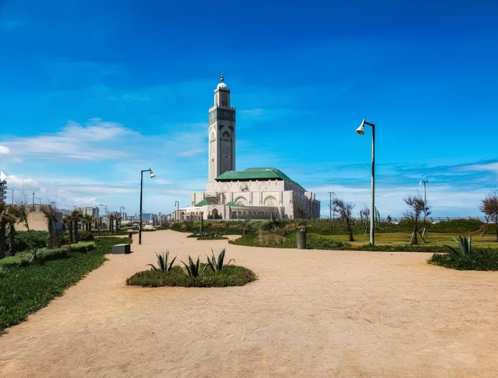 Casablanca Unveiled: Mosque and Urban Exploration | ®ExcursionMania - Image 6