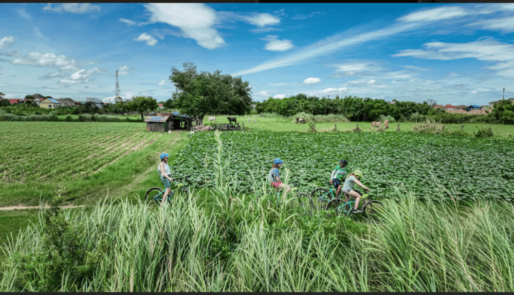 Phnom Penh: Silk Island Sunset Bike Tour include drinks | ®ExcursionMania - Image 4