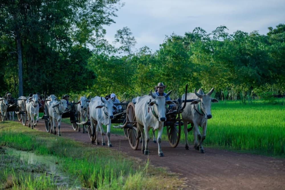 Siem Reap: Hands-on Cambodia Cooking Class and Market Tour | ®ExcursionMania - Image 6
