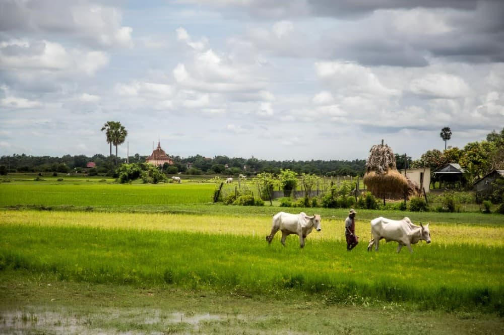 Phnom Penh: Phnom Oudong & Koh Chen Village - Lunch include | ®ExcursionMania - Image 6