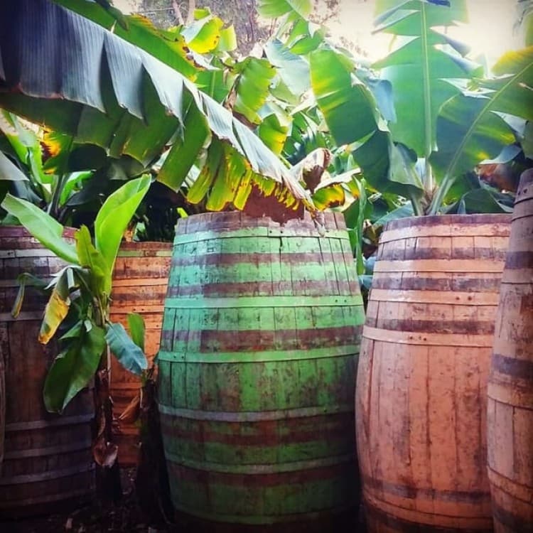 Paúl Hike, the Green Garden | ®ExcursionMania - Image 2