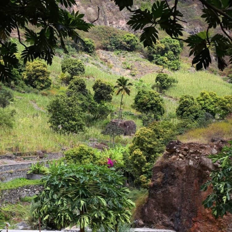 Paúl Hike, the Green Garden | ®ExcursionMania - Image 9