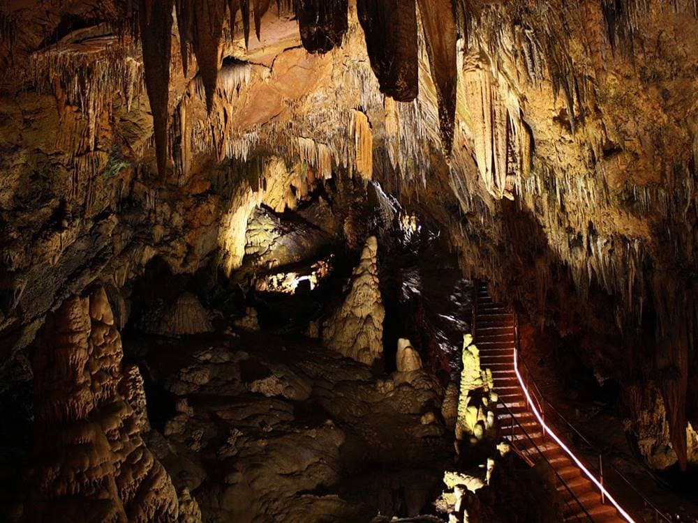 Alanya Sapadere Canyon Tour: Nature’s Beauty Awaits | ®ExcursionMania - Image 7