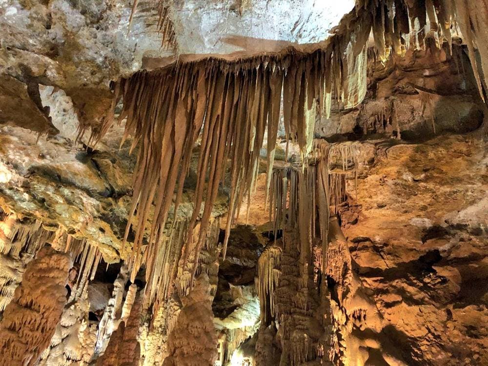 Alanya Sapadere Canyon Tour: Nature’s Beauty Awaits | ®ExcursionMania - Image 3