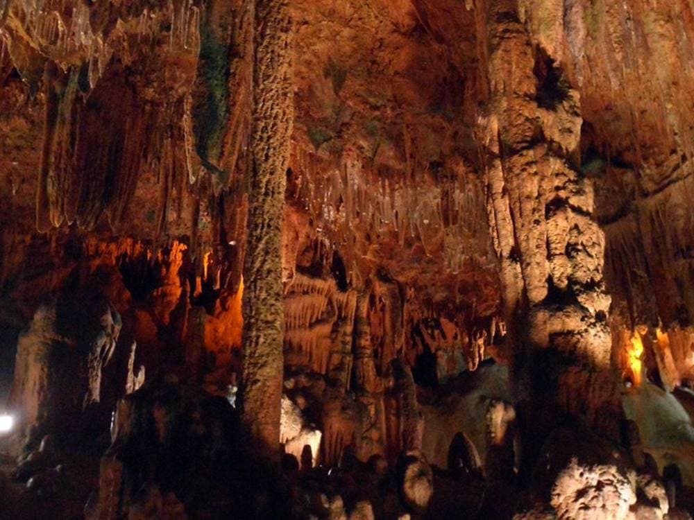 Alanya Sapadere Canyon Tour: Nature’s Beauty Awaits | ®ExcursionMania - Image 4