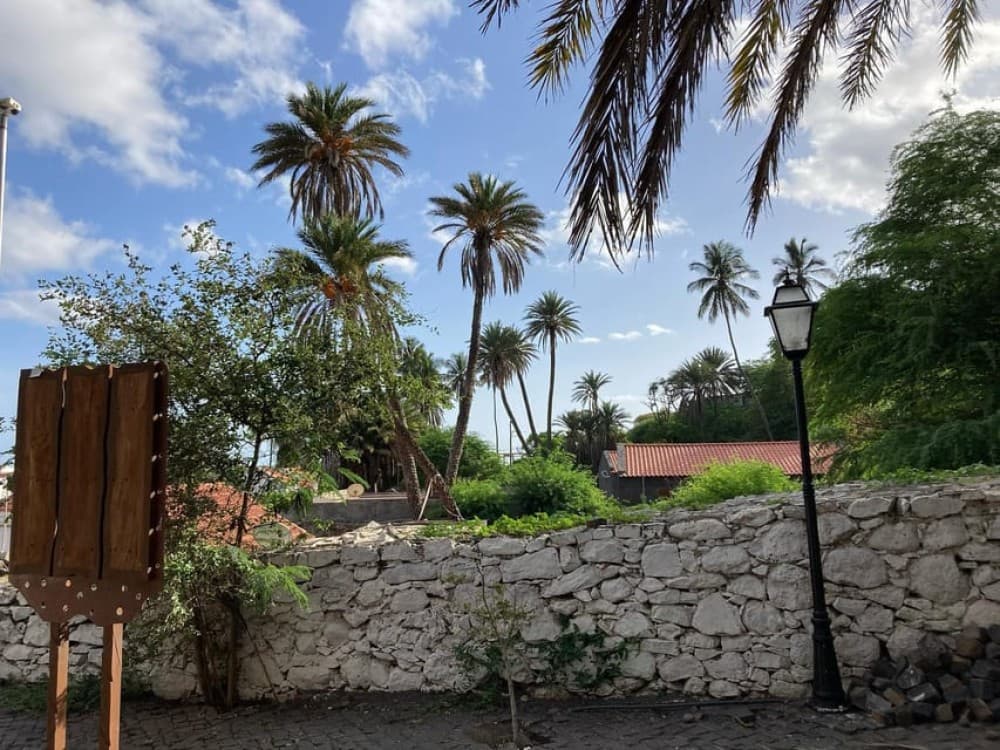 4h Guided City Tour Praia & Cidade Velha | ®ExcursionMania - Image 5