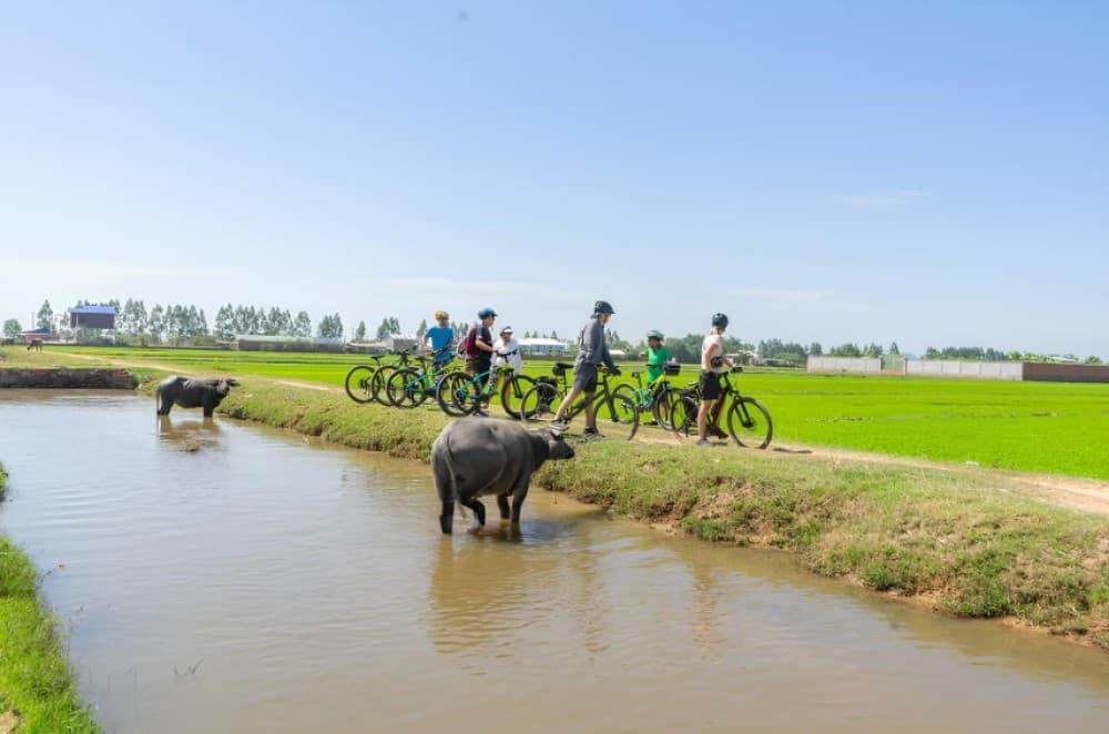 Kampong Phluk: Floating Village Bike Tour and Sunset Cruise | ®ExcursionMania - Image 5