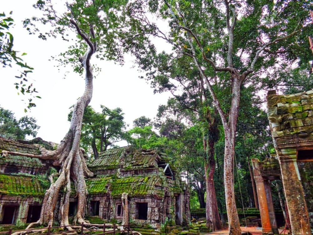 Angkor Region: 3-day Private Tour of Top Temples | ®ExcursionMania - Image 10