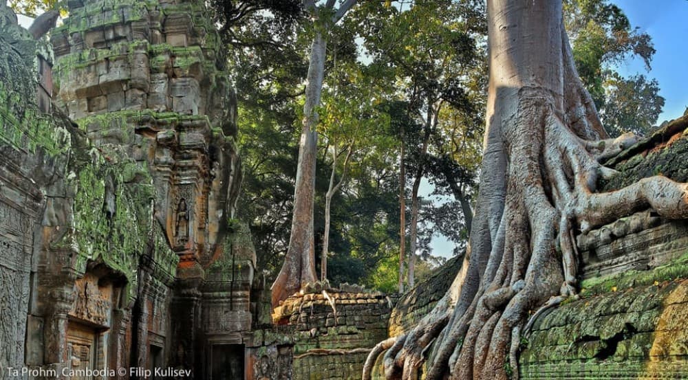 Siem Reap: Angkor Wat: Small-Group Sunrise Tour | ®ExcursionMania - Image 4