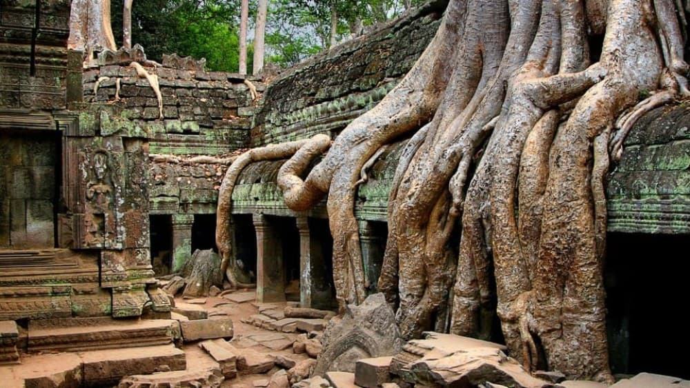 Siem Reap: Angkor Wat: Small-Group Sunrise Tour | ®ExcursionMania - Image 8