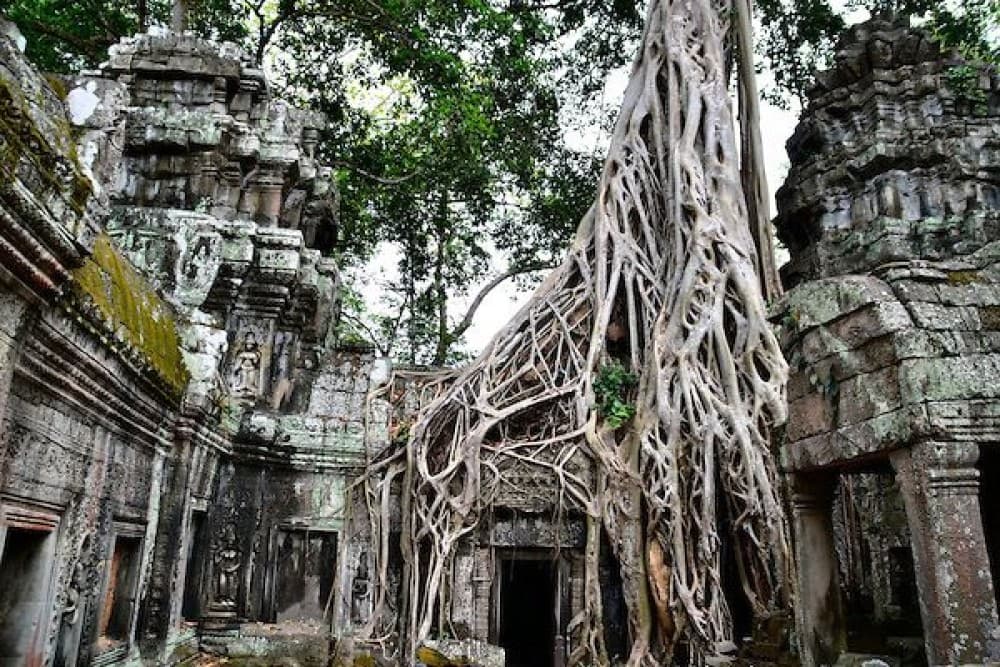 Siem Reap: Angkor Wat Temples & Phnom Kulen Park 3-Day Tour | ®ExcursionMania - Image 4