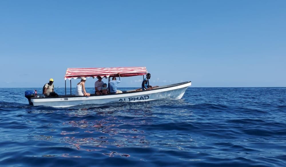 Mnemba Island, Kuza Cave, The Rock Restaurant, Paje Beach | ®ExcursionMania - Image 2