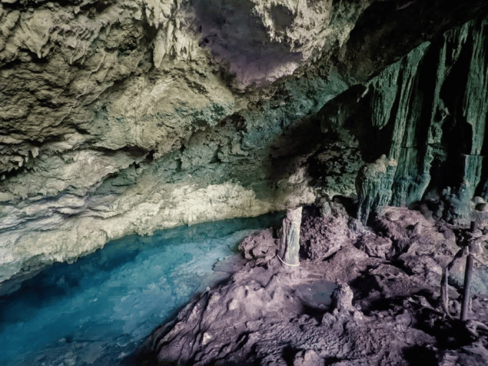 Mnemba Island, Kuza Cave, The Rock Restaurant, Paje Beach | ®ExcursionMania - Image 11