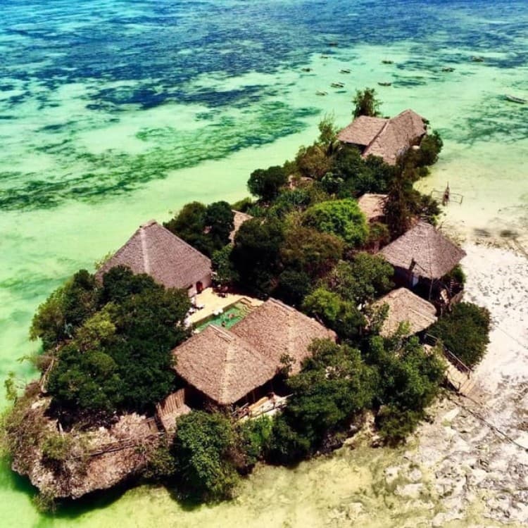 Jozani Forest, Pongwe, Snorkeling with Turtles, Clear Kayak | ®ExcursionMania - Image 5