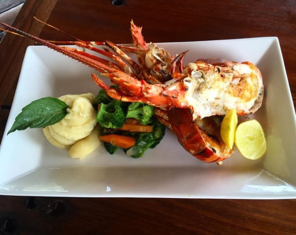 Jozani Forest, Pongwe, Snorkeling with Turtles, Clear Kayak | ®ExcursionMania - Image 6