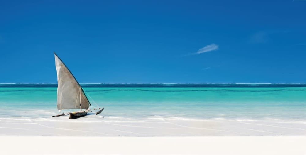 Jozani Forest, Pongwe, Snorkeling with Turtles, Clear Kayak | ®ExcursionMania - Image 10