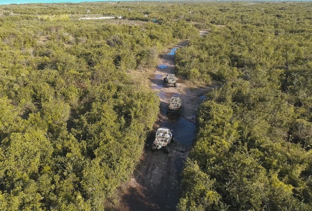 Zanzibar Original Buggy Adventure | ®ExcursionMania - Image 4