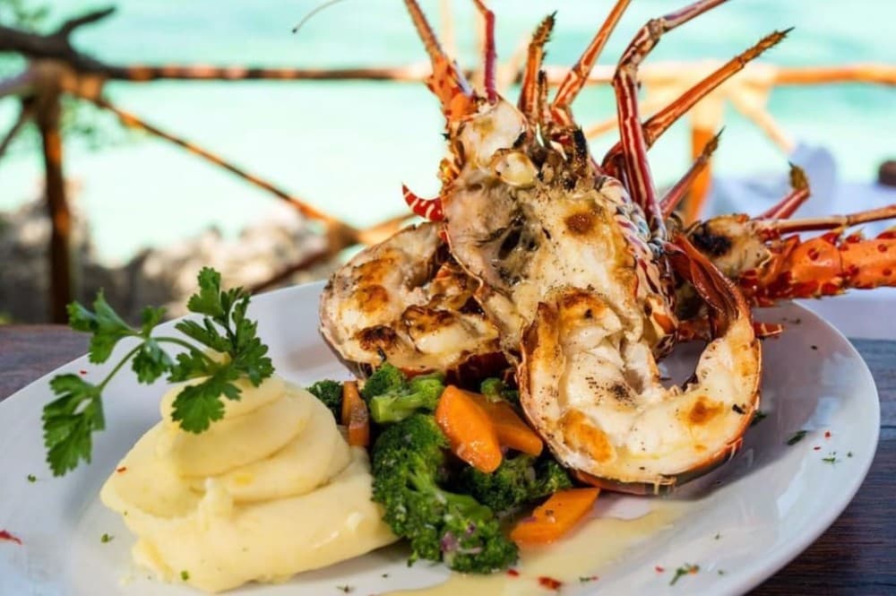 Prison Island, Spice Tour, The Island Pongwe, Kendwa Beach | ®ExcursionMania - Image 2