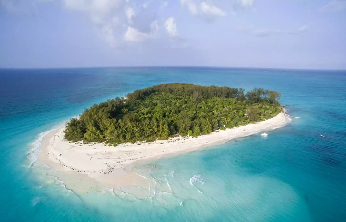Zanzibar: Mnemba Island, Monkeys & Kuza Cave Private Tour | ®ExcursionMania - Image 1