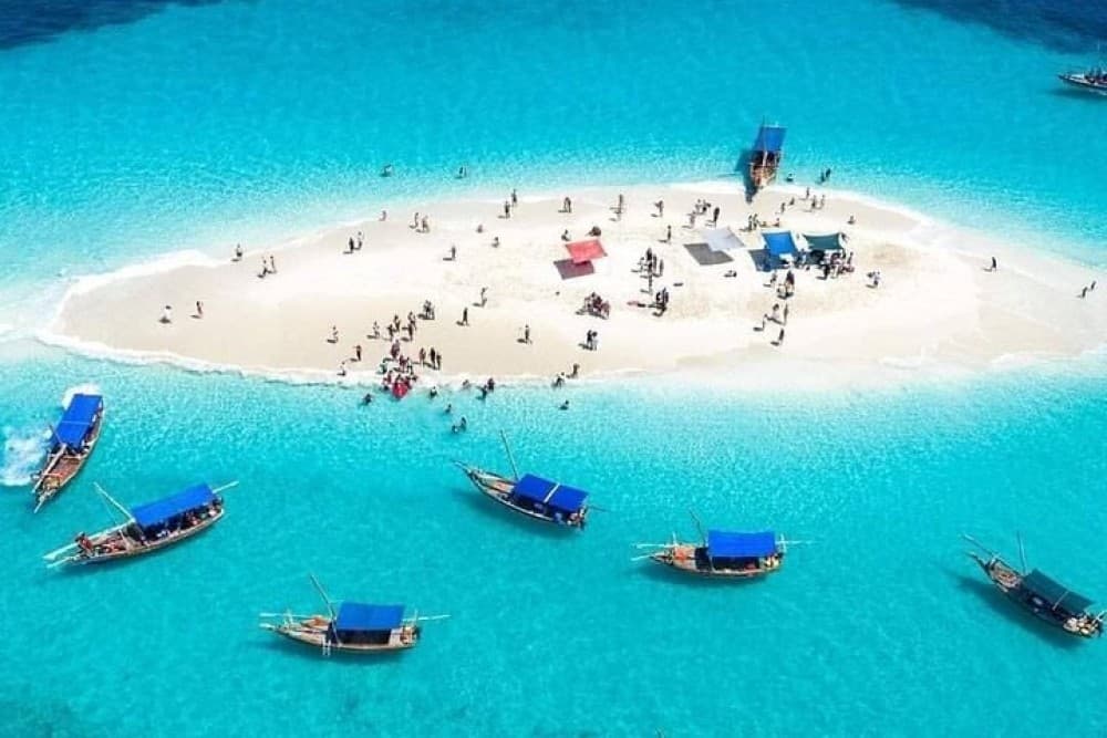 Dolphin Tour, Blue Lagoon, Starfish, The Rock, Paje Beach | ®ExcursionMania - Image 1