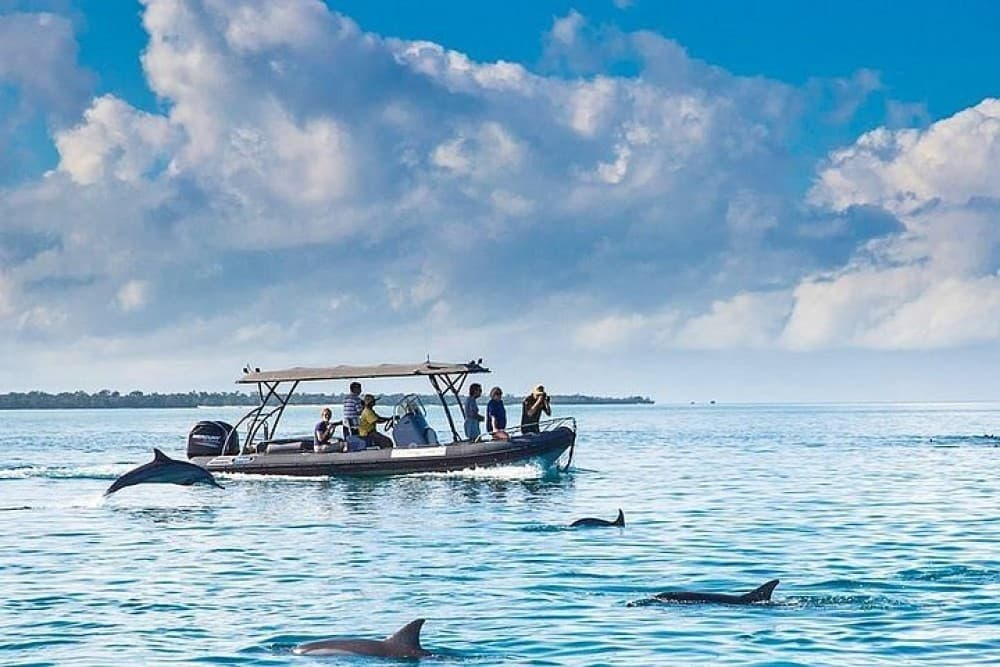 Dolphin Tour, Blue Lagoon, Starfish, The Rock, Paje Beach | ®ExcursionMania - Image 3