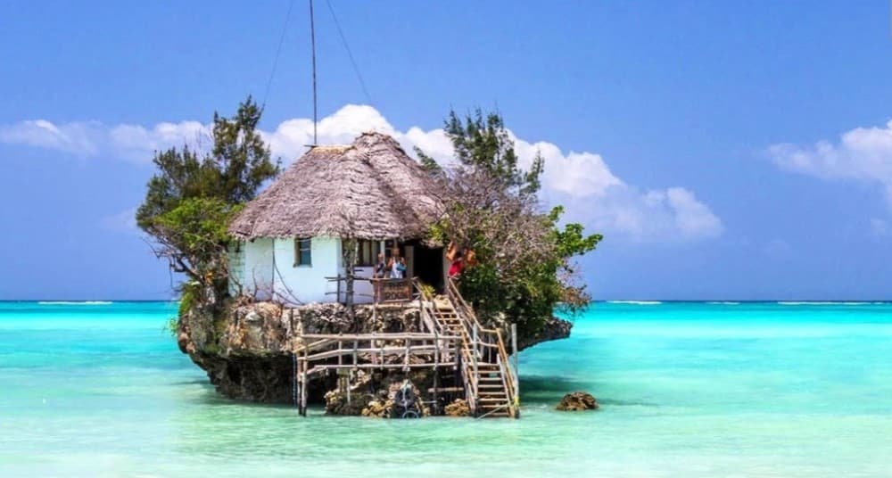 Dolphin Tour, Blue Lagoon, Starfish, The Rock, Paje Beach | ®ExcursionMania - Image 4