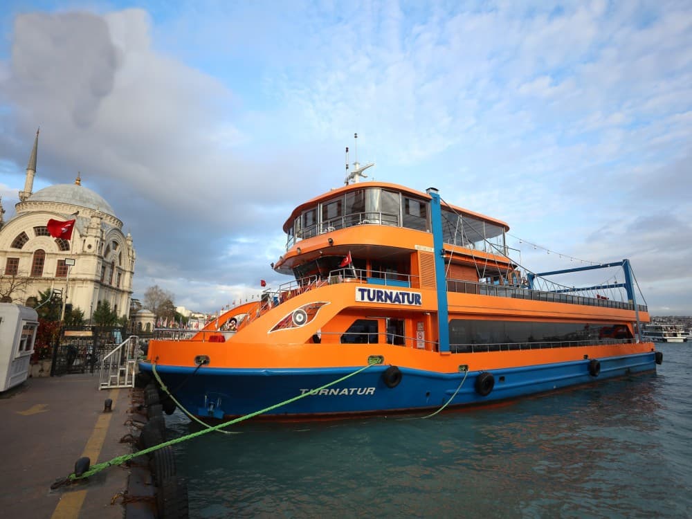 Istanbul: Turkish Night on the Bosphorus Dinner Cruise | ®ExcursionMania - Image 10