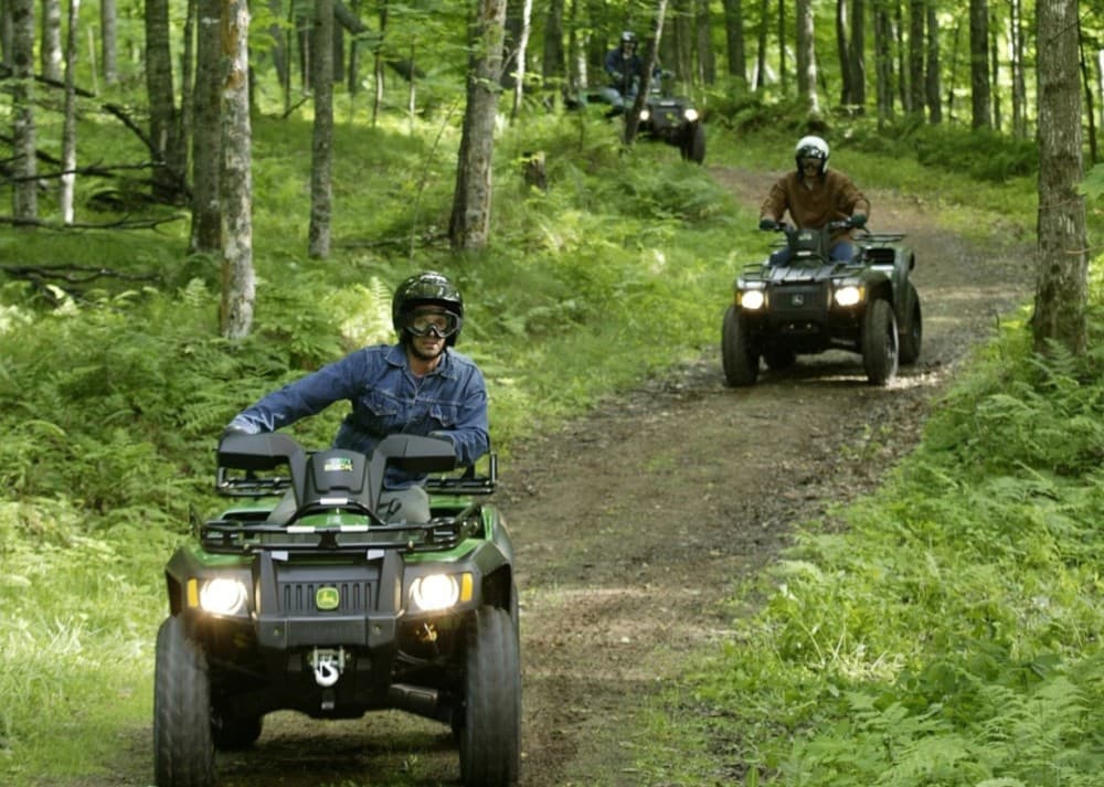 Istanbul: Quad Safari Adventure in Belgrad Forest | ®ExcursionMania - Image 5
