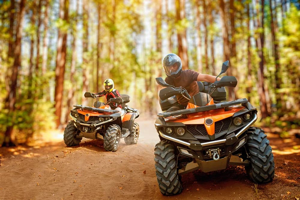Istanbul: Quad Safari Adventure in Belgrad Forest | ®ExcursionMania - Image 1