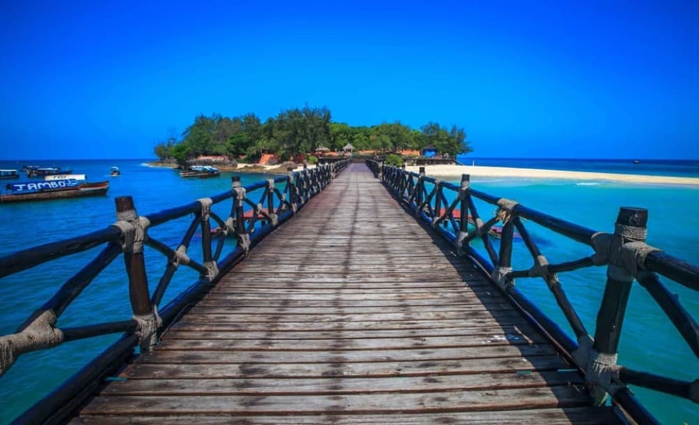 Prison island and Nakupenda sandbank | ®ExcursionMania - Image 3