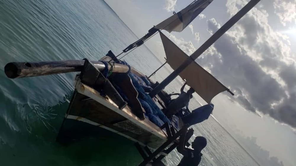 Kendwa or Nungwi Sunset Dhow Cruise | ®ExcursionMania - Image 6