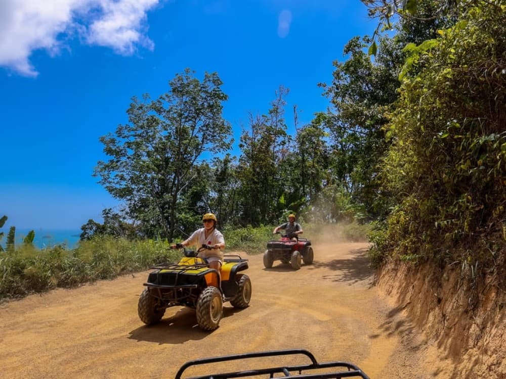 Safari Trails & Off-Road Ventures with Big Buddha | ®ExcursionMania - Image 4