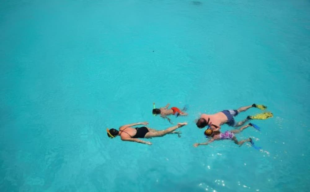 From Zanzibar: Mnemba Boat Tour with Snorkeling & Dolphine | ®ExcursionMania - Image 4