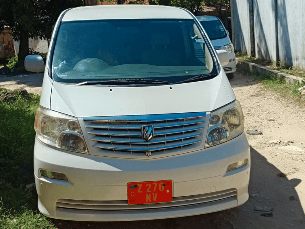 Zanzibar Airport Private Arrival Transfers | ®ExcursionMania - Image 5