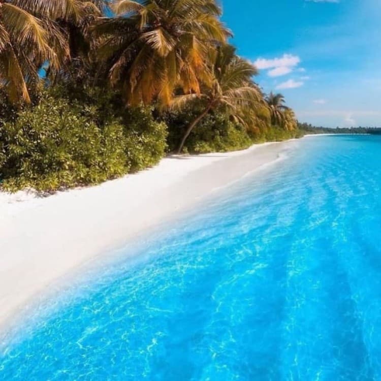 Kuza Cave, Blue Lagoon, The Rock Restaurant, Kaefunk Beach | ®ExcursionMania - Image 6