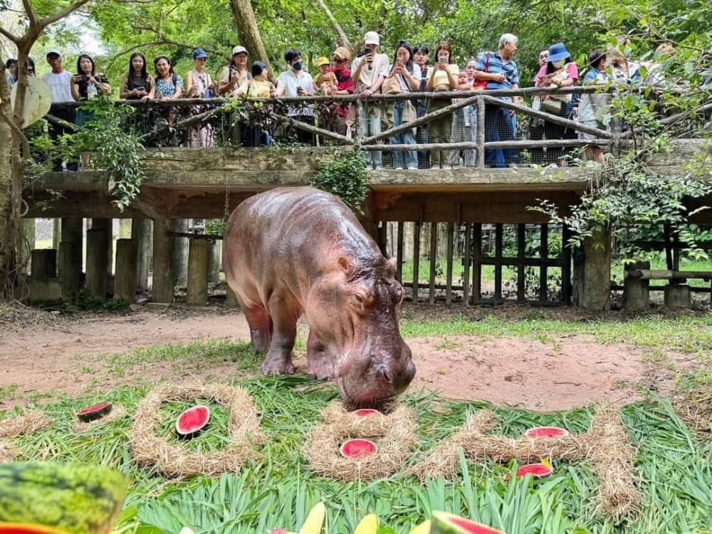 Bangkok: Private Khao Kaew Open Zoo Transfer | ®ExcursionMania - Image 2