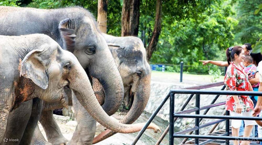 Bangkok: Private Khao Kaew Open Zoo Transfer | ®ExcursionMania - Image 3