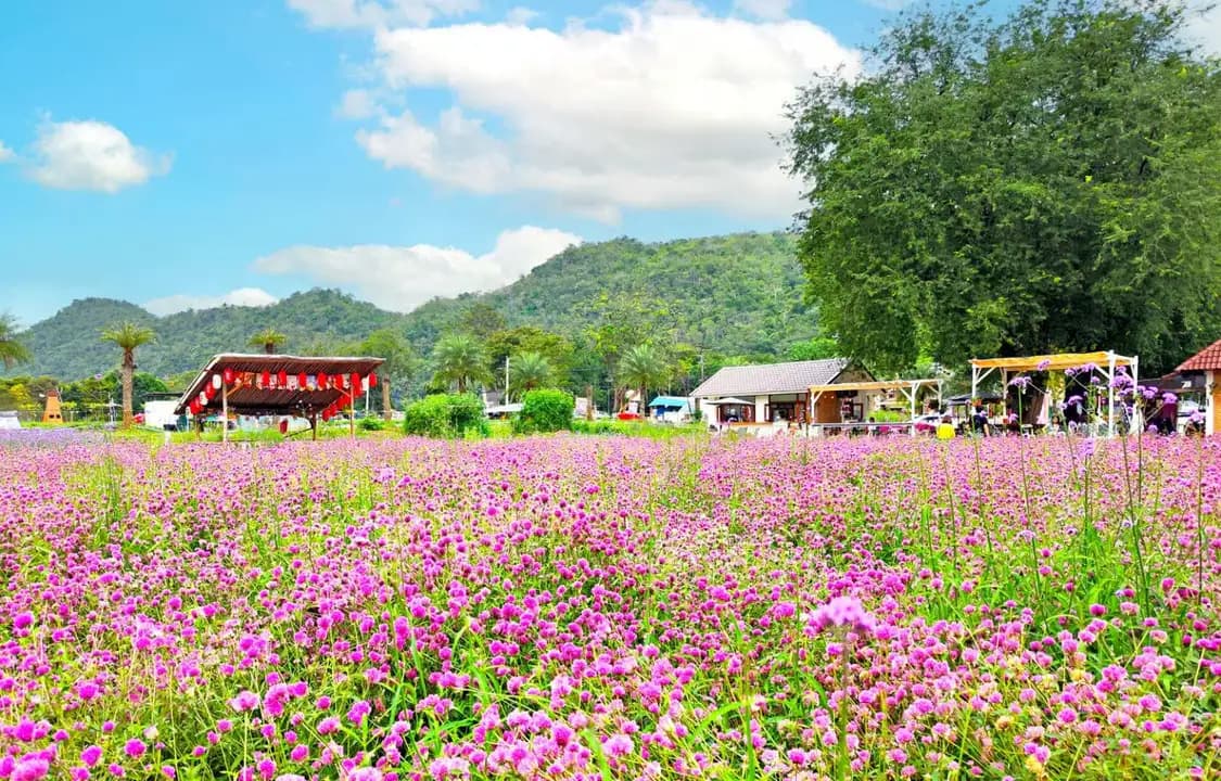 Bangkok: Private Khao Yai Day Tour | ®ExcursionMania - Image 3