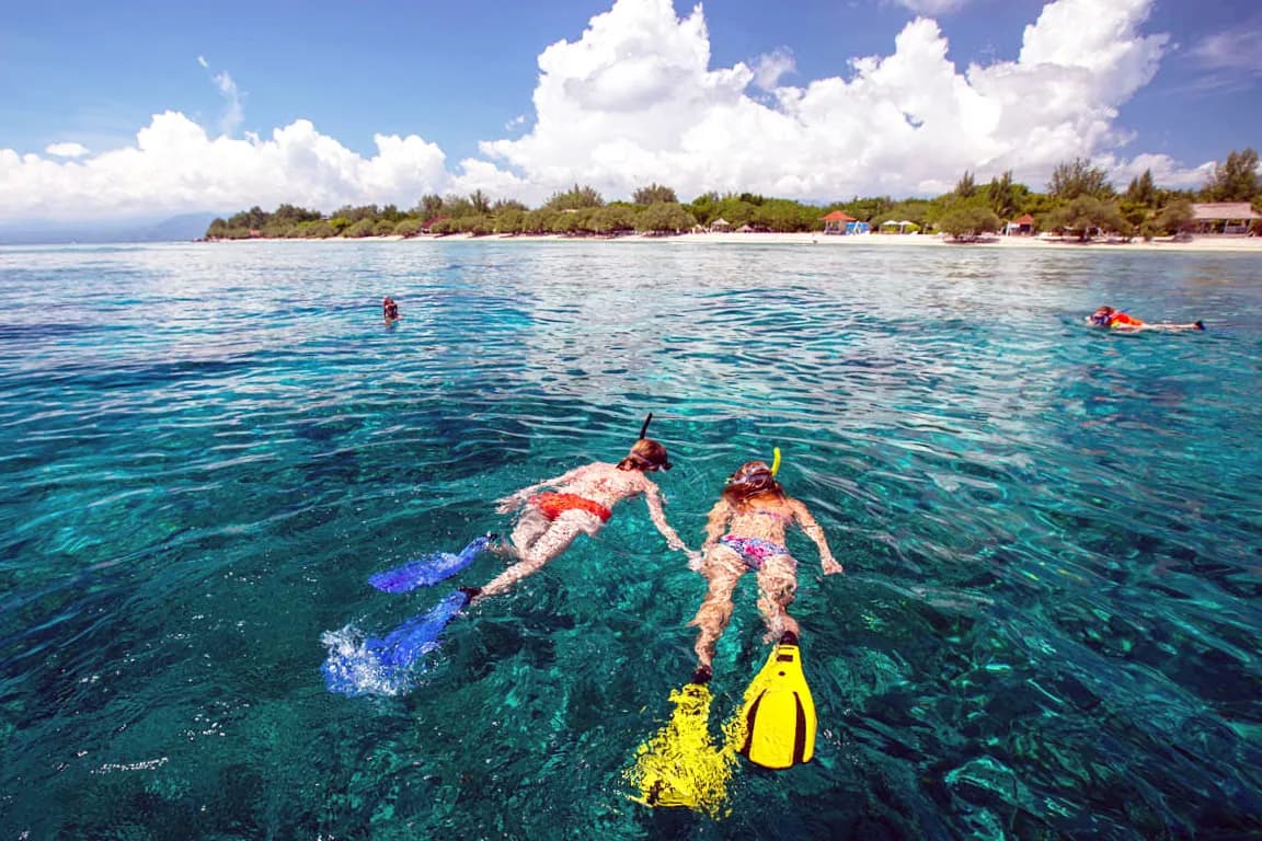 Dolphin & Tumbatu Island Snorkeling | ®ExcursionMania - Image 3