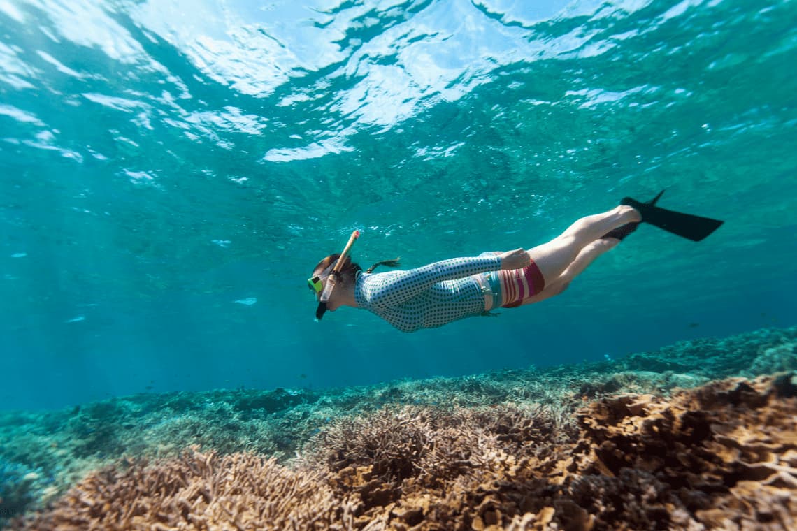 Dolphin & Tumbatu Island Snorkeling | ®ExcursionMania - Image 8