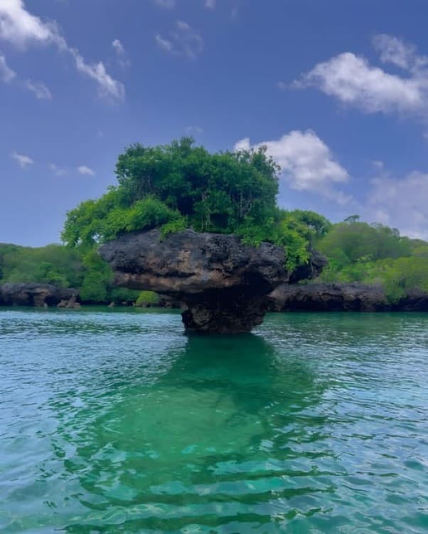 Zanzibar: Safari blue tour | ®ExcursionMania - Image 11