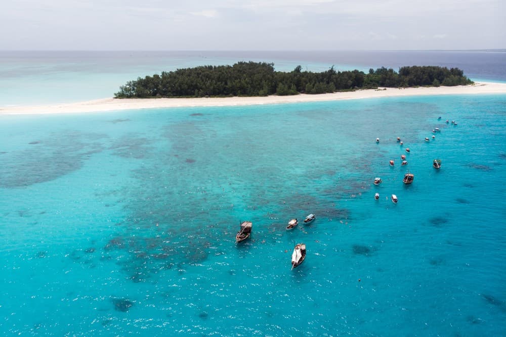 Zanzibar: Mnemba Snorkeling and Dolphin Tour with Dhow Boat | ®ExcursionMania - Image 11