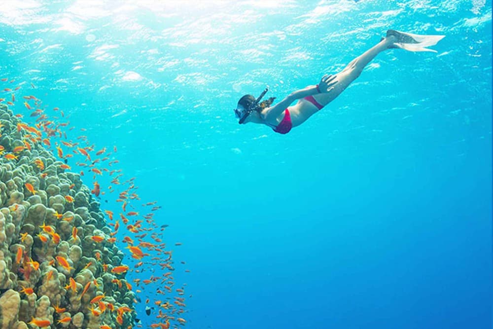 From Kendwa: Mnemba Atoll and Dolphin Snorkel Full Day Trip | ®ExcursionMania - Image 1