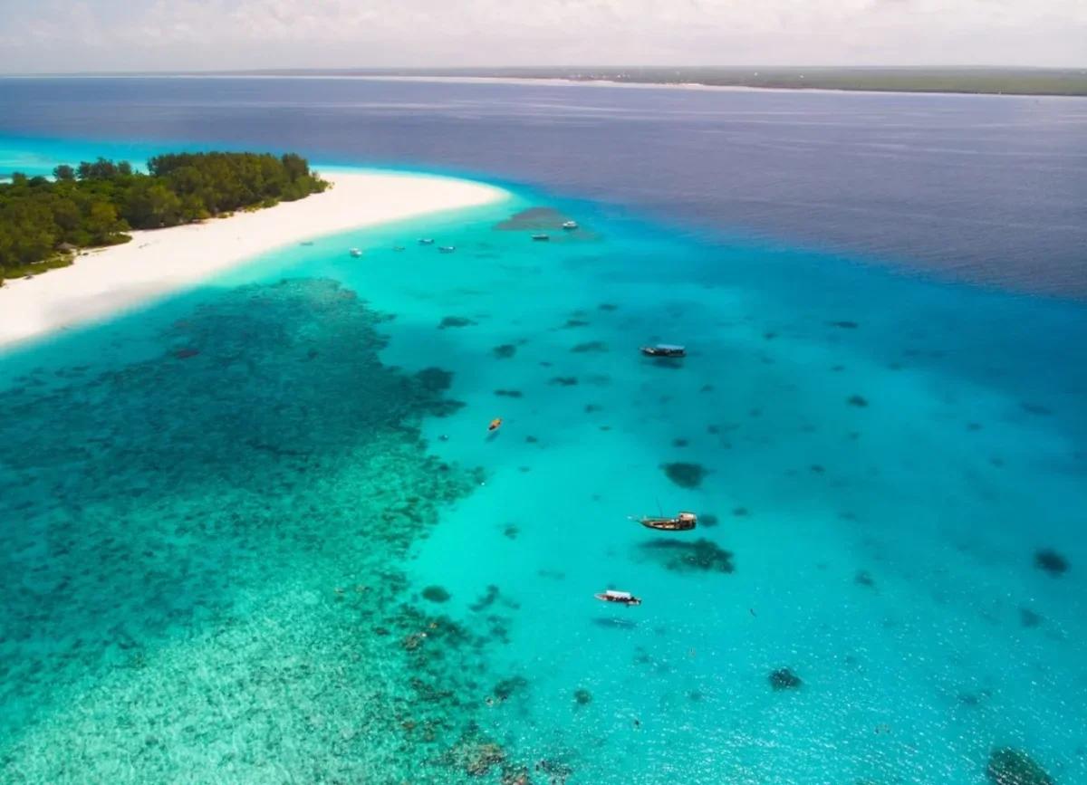 From Kendwa: Mnemba Atoll and Dolphin Snorkel Full Day Trip | ®ExcursionMania - Image 8